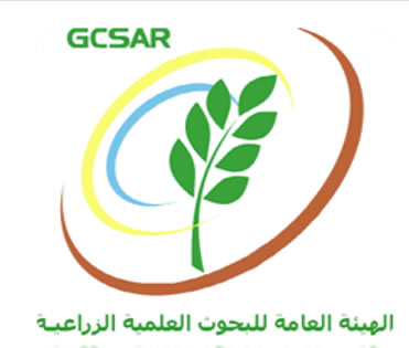 شعار